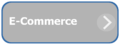 Ecommerce-01.png